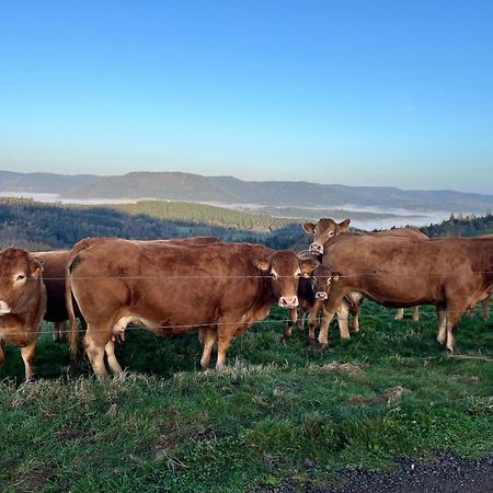 Gite De Montagne -Bellefosse Alsace Zewnętrze zdjęcie