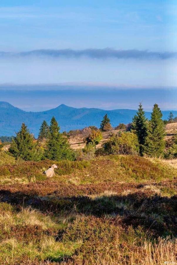 Gite De Montagne -Bellefosse Alsace Zewnętrze zdjęcie
