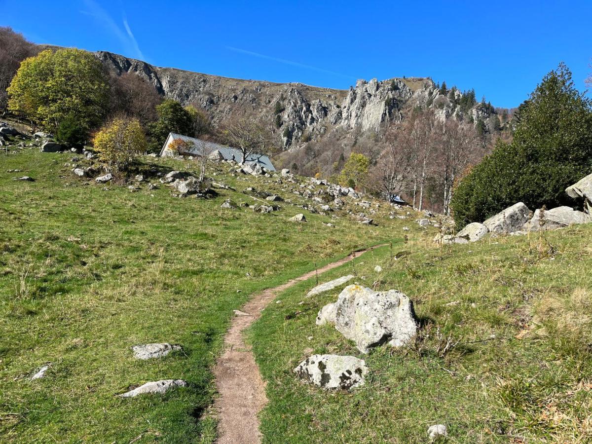Gite De Montagne -Bellefosse Alsace Zewnętrze zdjęcie