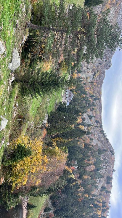 Gite De Montagne -Bellefosse Alsace Zewnętrze zdjęcie
