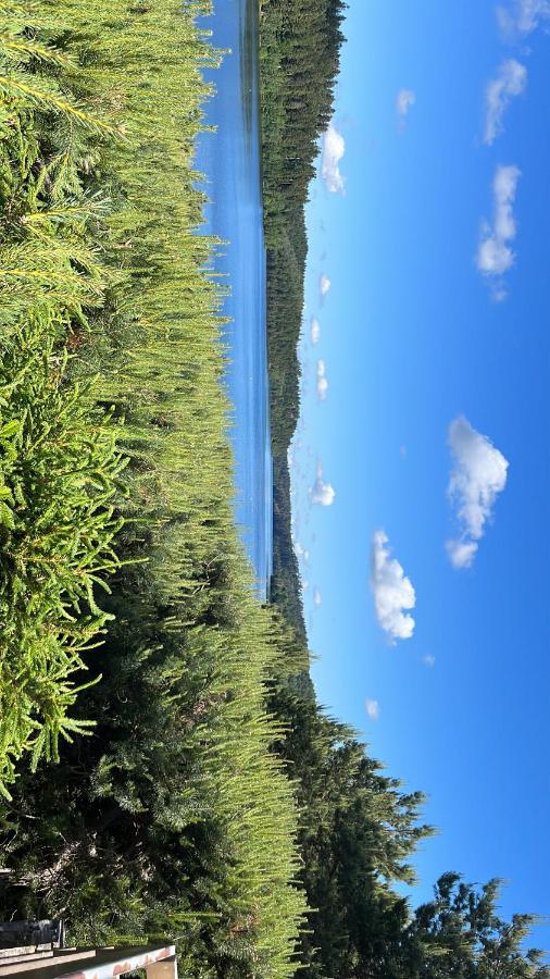 Gite De Montagne -Bellefosse Alsace Zewnętrze zdjęcie