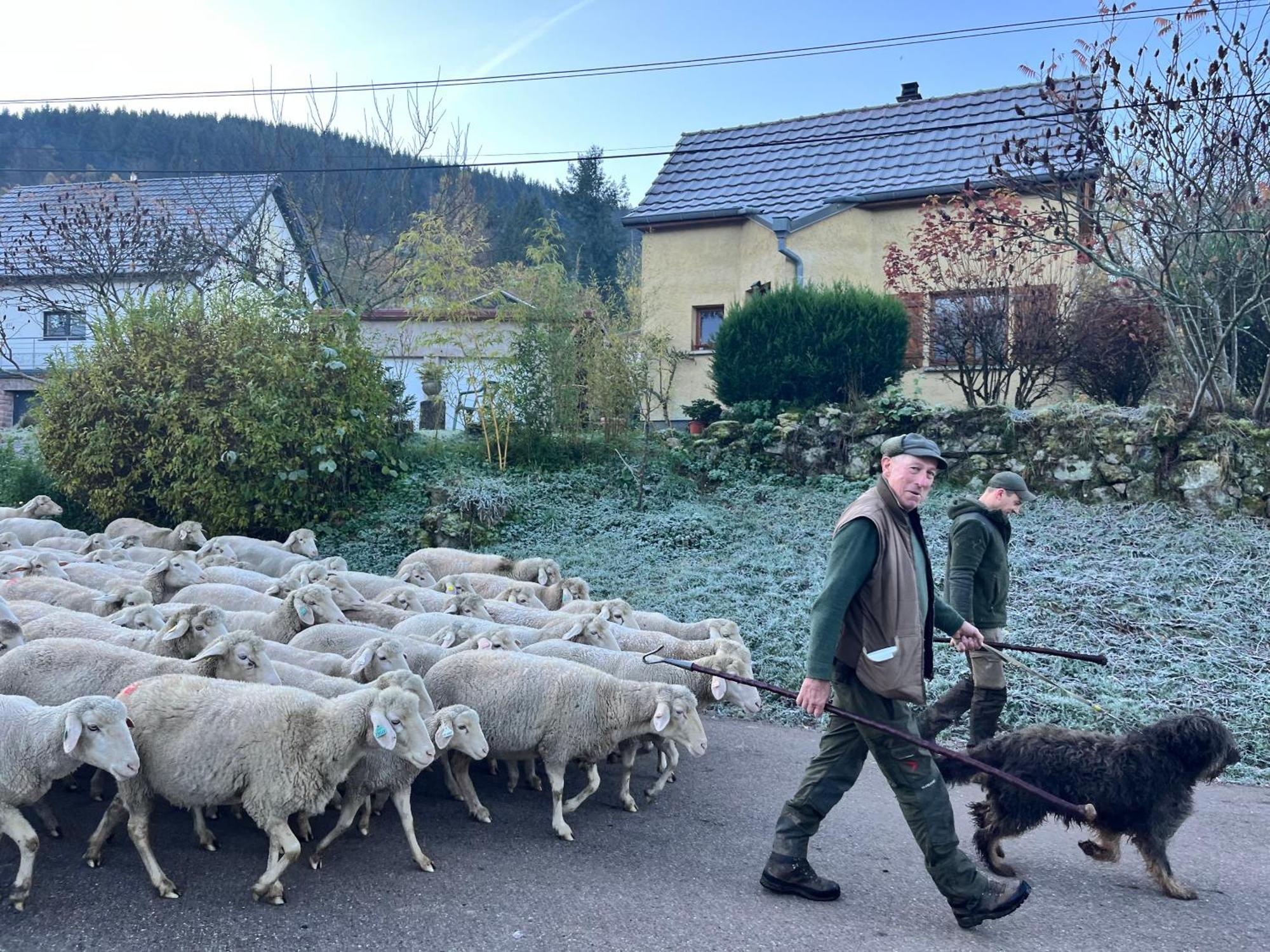 Gite De Montagne -Bellefosse Alsace Zewnętrze zdjęcie