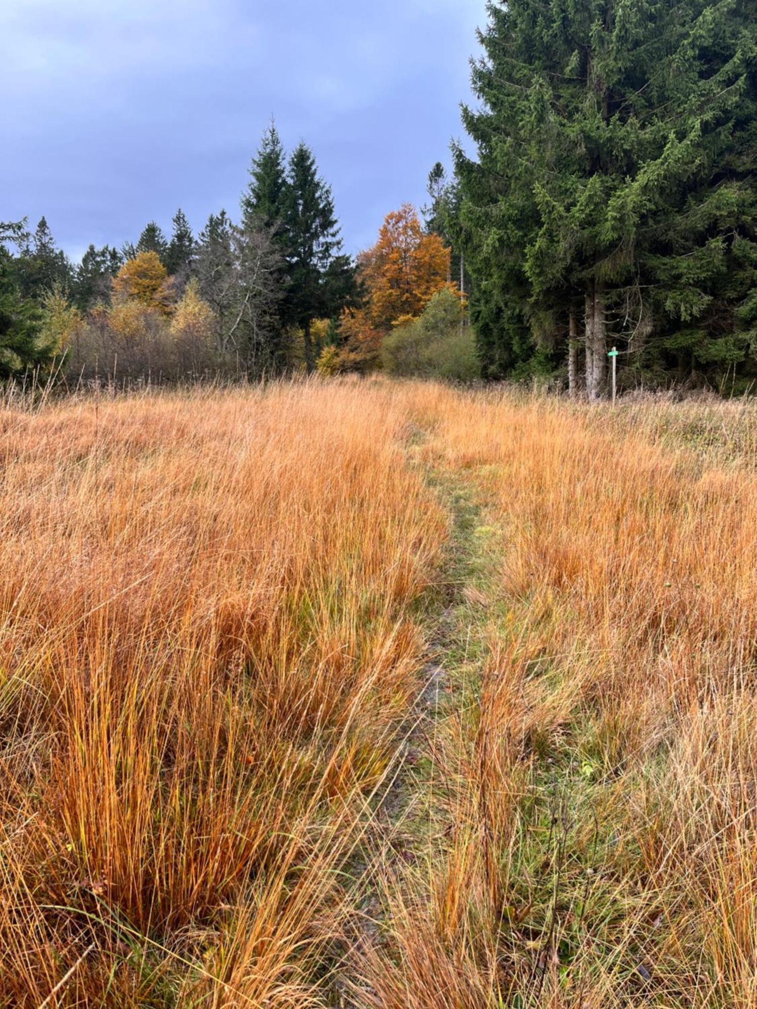 Gite De Montagne -Bellefosse Alsace Zewnętrze zdjęcie